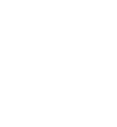 Die New York Times